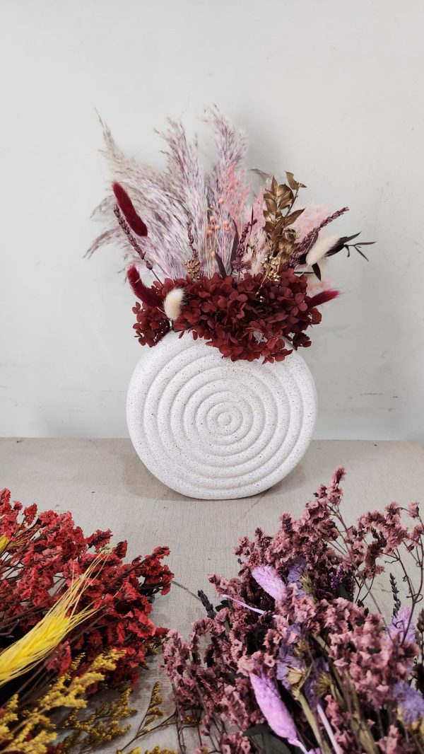 Maroon Muse – Pampasious