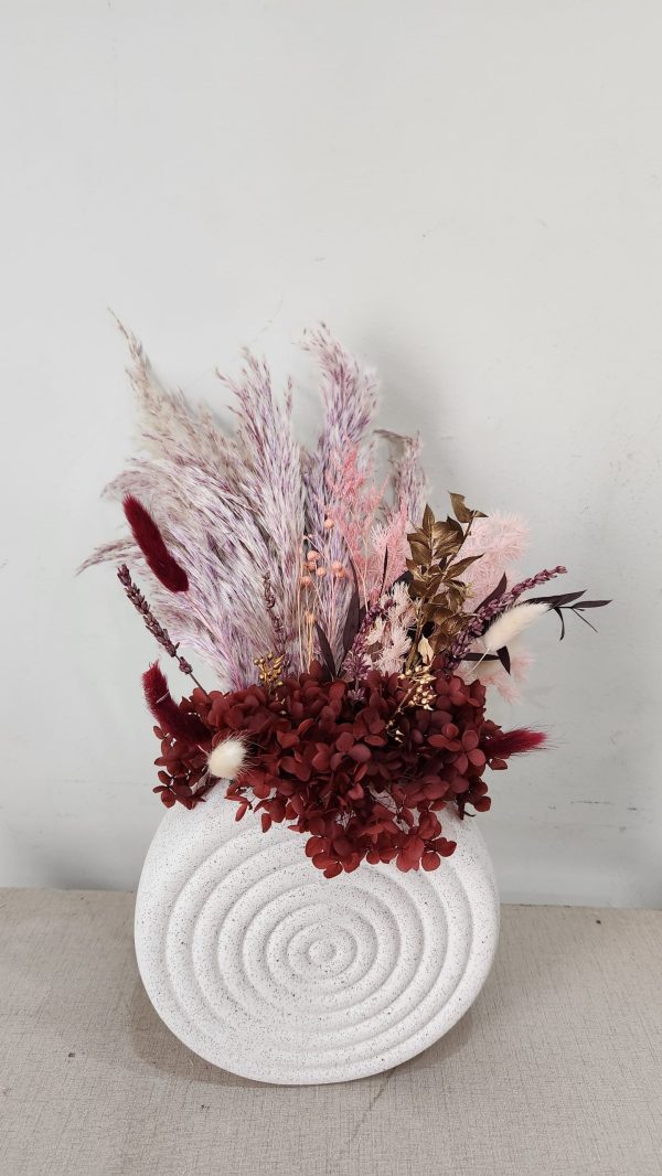 Maroon Muse – Pampasious